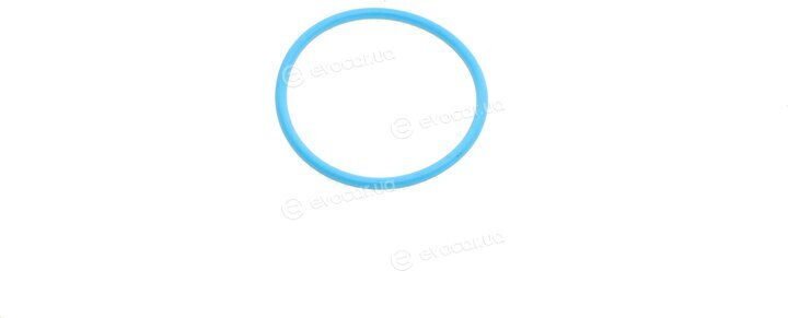 Elring 564.880