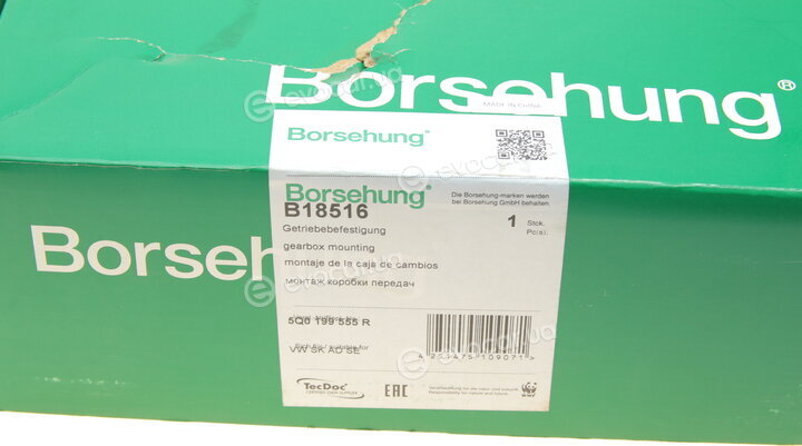 Borsehung B18516