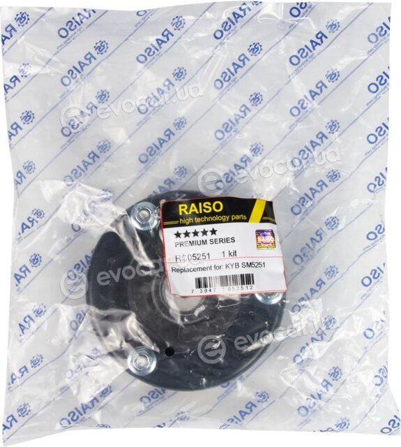 Raiso RC05251
