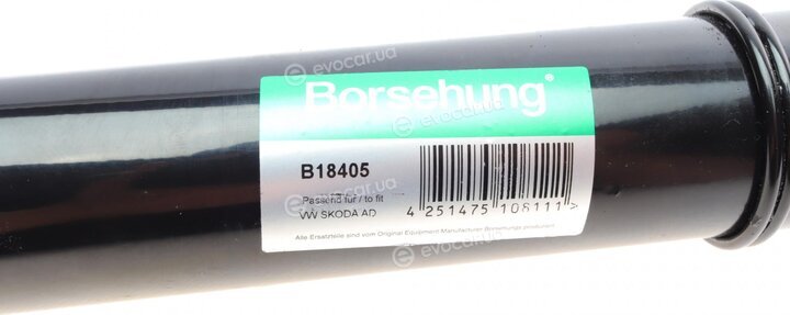 Borsehung B18405