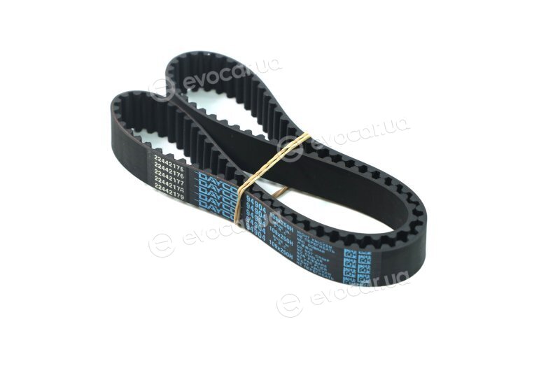 Dayco 94904