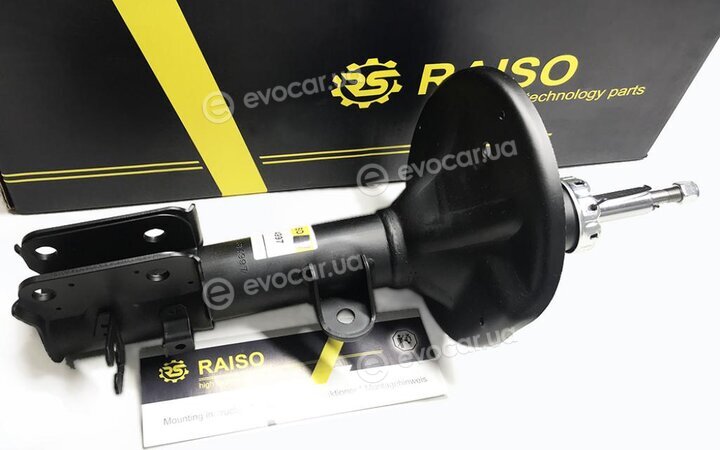 Raiso RS314997