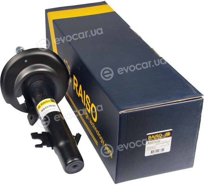 Raiso RS317830