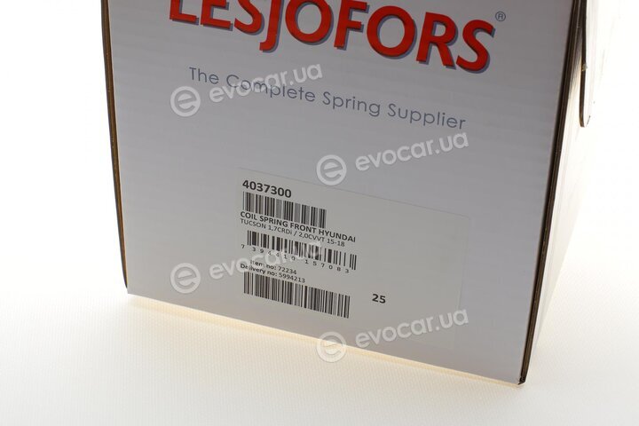 Lesjofors 4037300