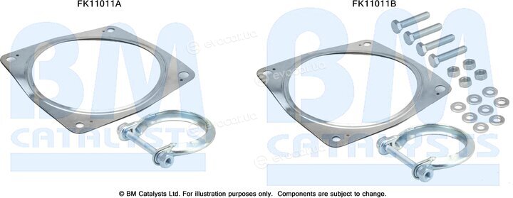 BM Catalysts FK11011