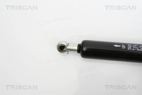 Triscan 8710 25236