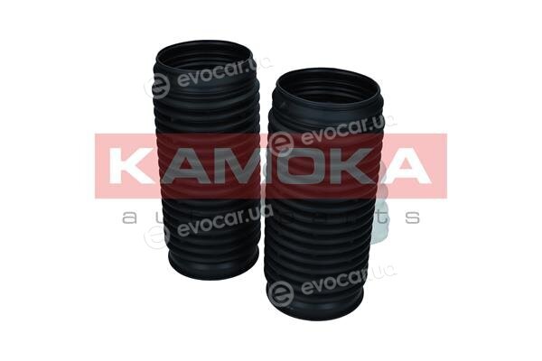 Kamoka 2019212