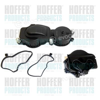 Hoffer 8091601