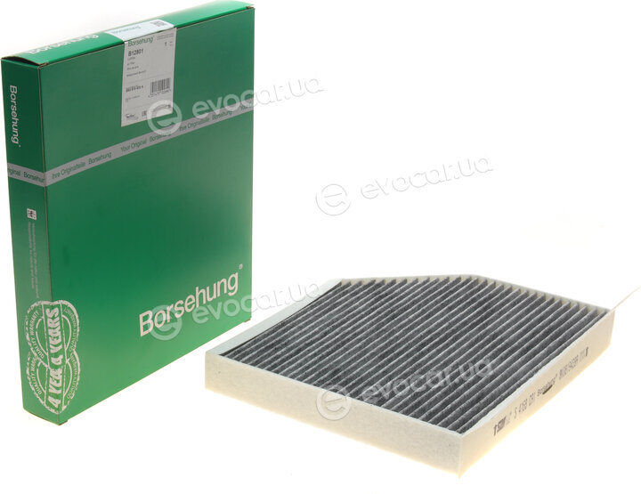 Borsehung B12801