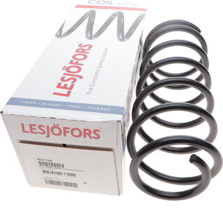 Lesjofors 4017706