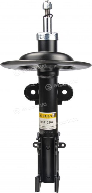 Raiso RS310202