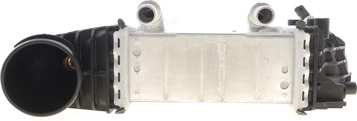 Mahle CI 663 000P