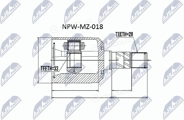 NTY NPW-MZ-018