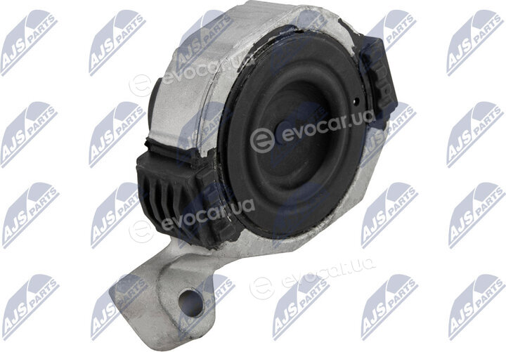 NTY ZPS-VV-001