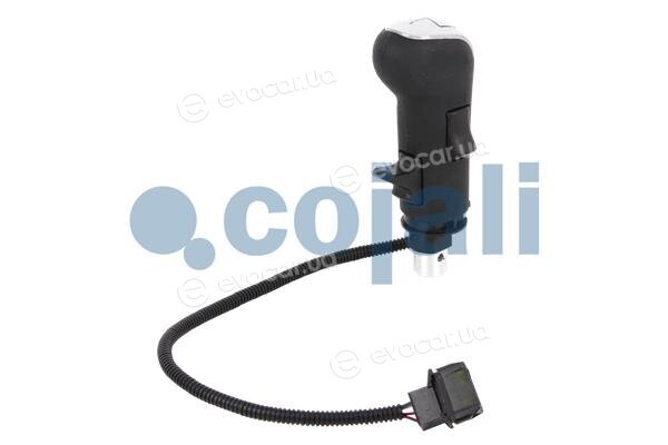 Cojali 2880235