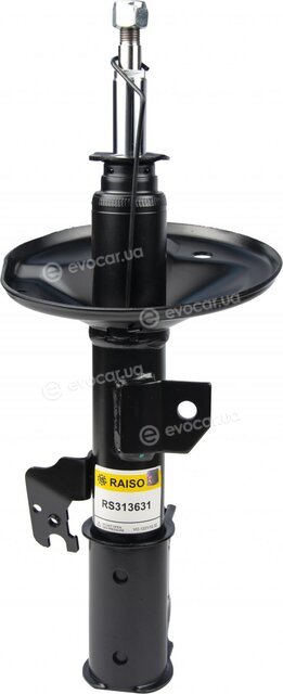 Raiso RS313631