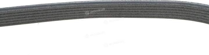 Dayco 6PK803EE