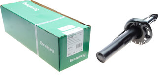 Borsehung B12132