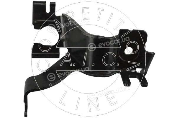 AIC 57947