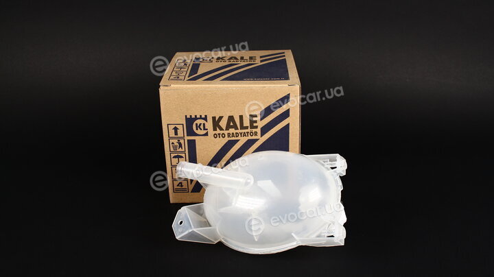 Kale 348825