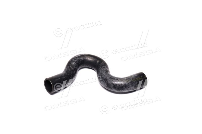 Febi 106178