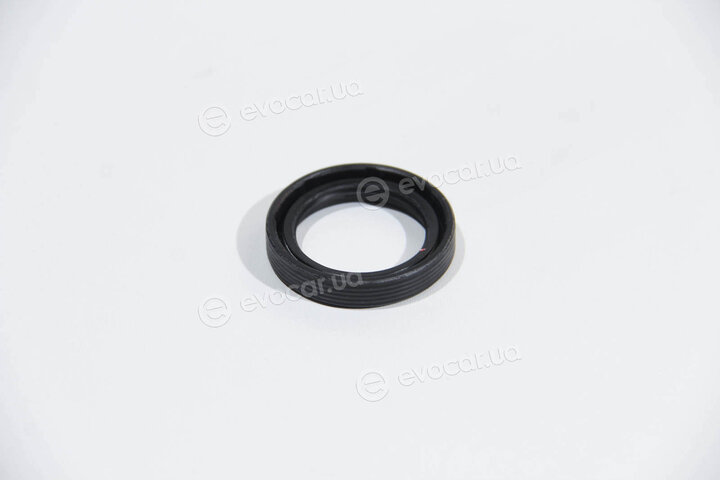 Elring 203.808