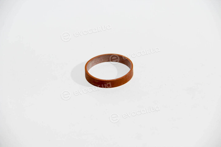 Elring 424.870