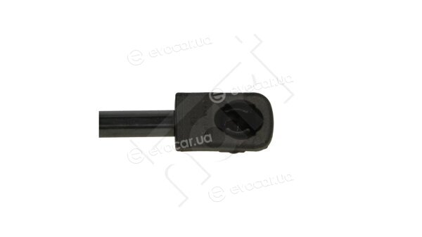Hart 813 748