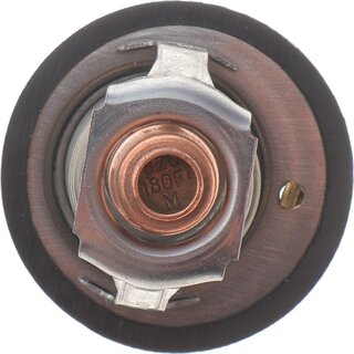 Motorad 565-82K