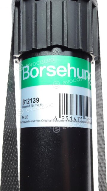 Borsehung B12139