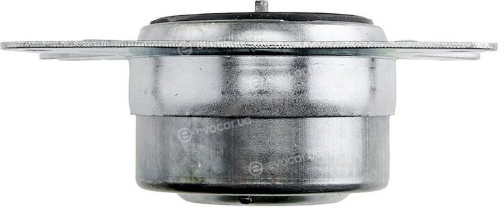 NTY ZPS-PL-009