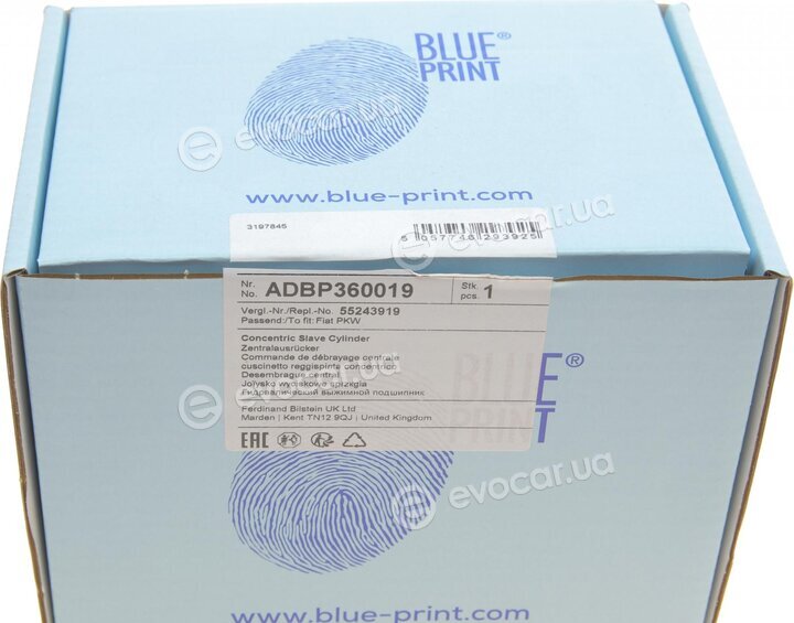 Blue Print ADBP360019