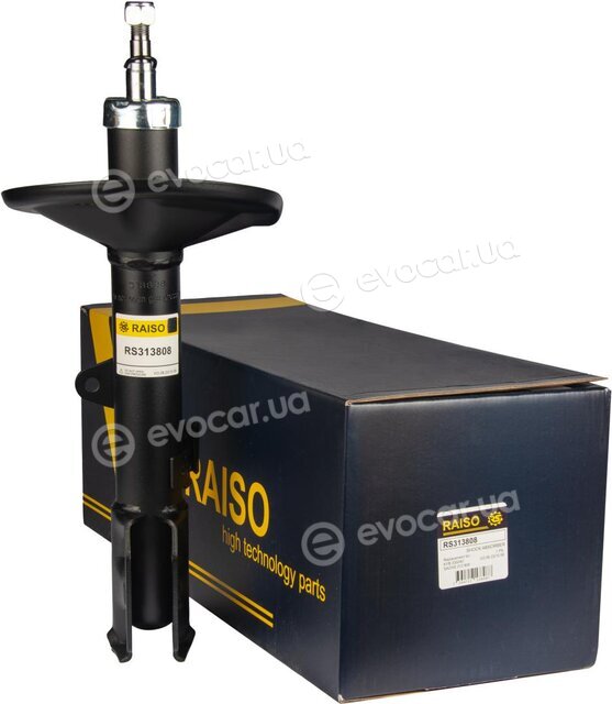 Raiso RS313808
