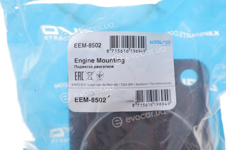 Kavo EEM-8502