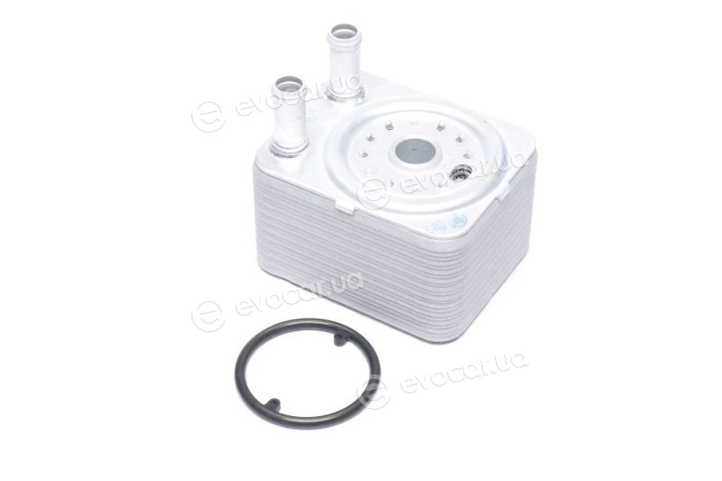 Van Wezel 58003093