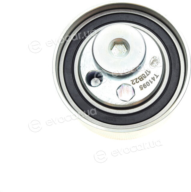 Gates K025557XS