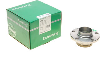 Borsehung B18297