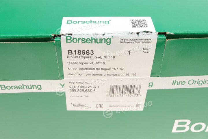 Borsehung B18663