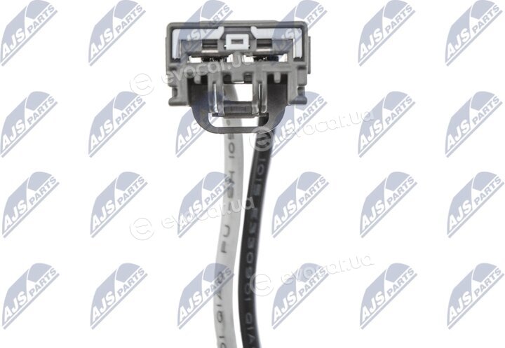 NTY EWN-PL-002