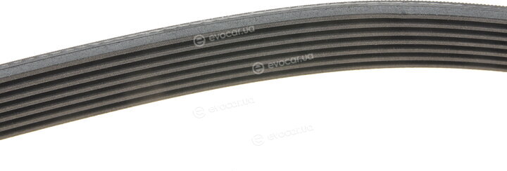 Continental 7PK1335