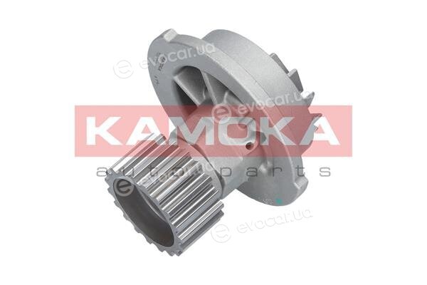 Kamoka T0066