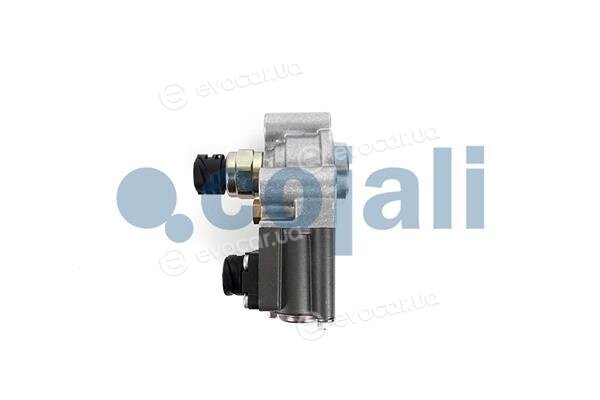 Cojali 2816001