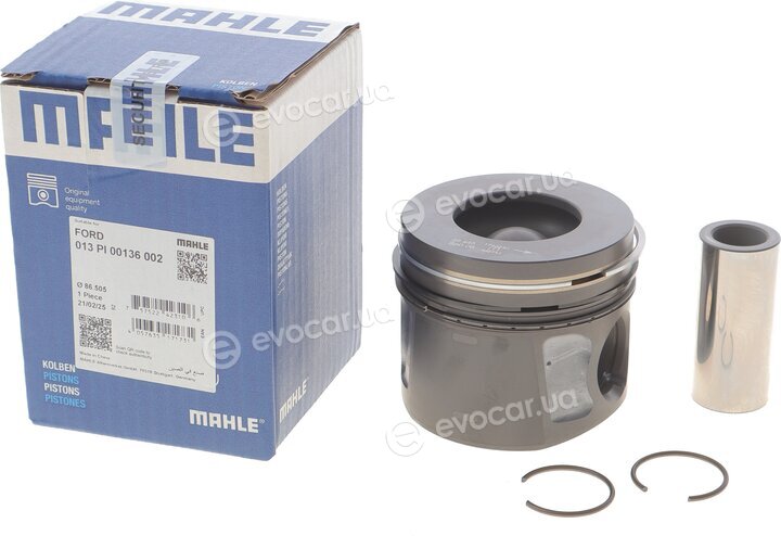 Mahle 013 PI 00136 002