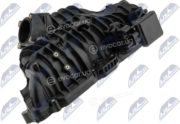 NTY BKS-CH-005