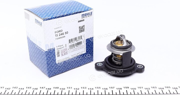 Mahle TI 246 50