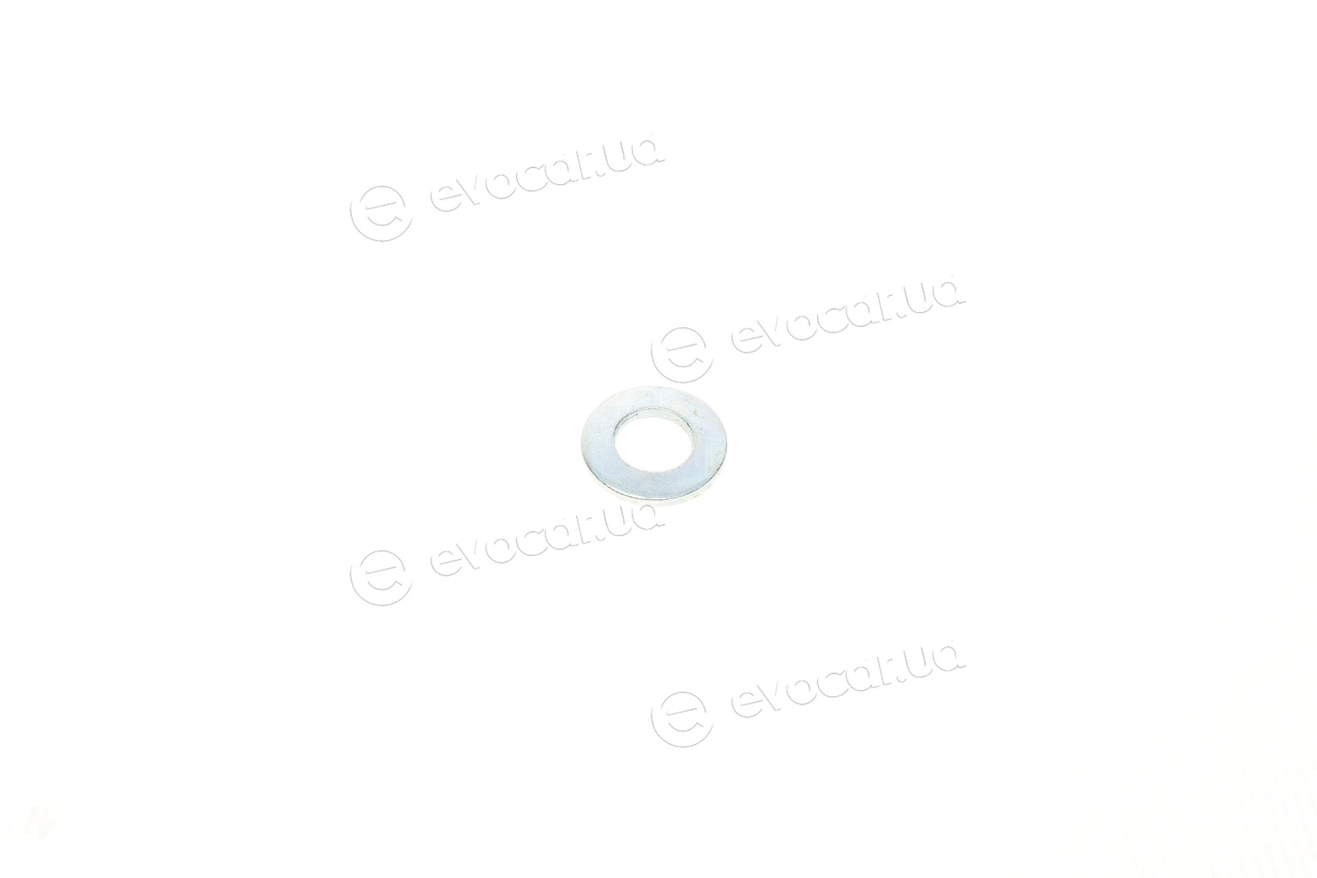 Solgy 203105