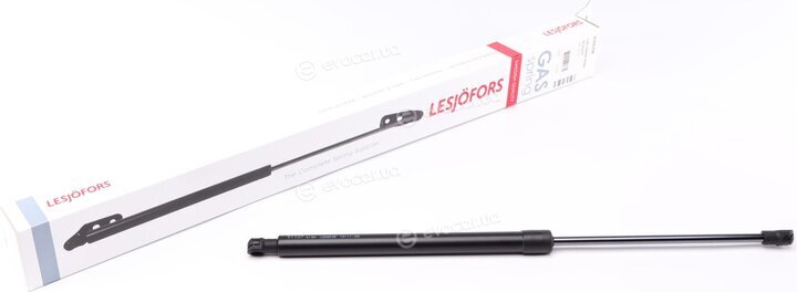 Lesjofors 8166748