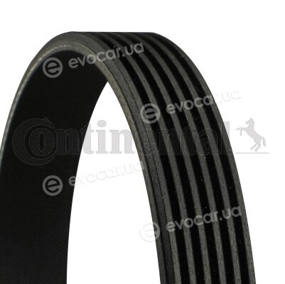 Continental 6PK794 ELAST