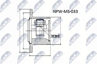 NTY NPW-MS-033