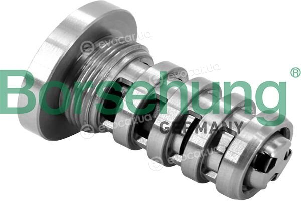 Borsehung B12694